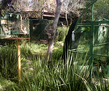 Integrating garden 2